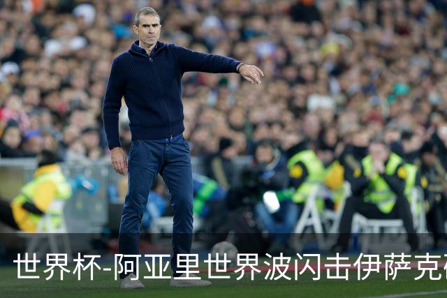 世界杯-阿亚里世界波闪击伊萨克破门 半场瑞典2-1突尼斯